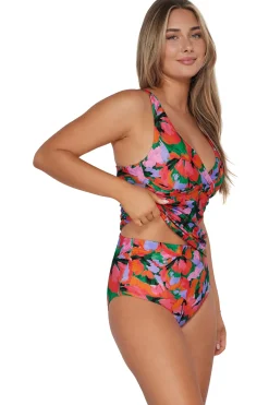 Sunsets Hummingbird Cove Elsie Tankini Top
